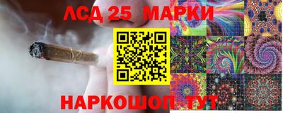 кокс Донской