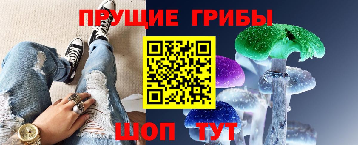 Лыткарино  Галлюциногенные грибы Psilocybine cubensis  Вход с VPN 